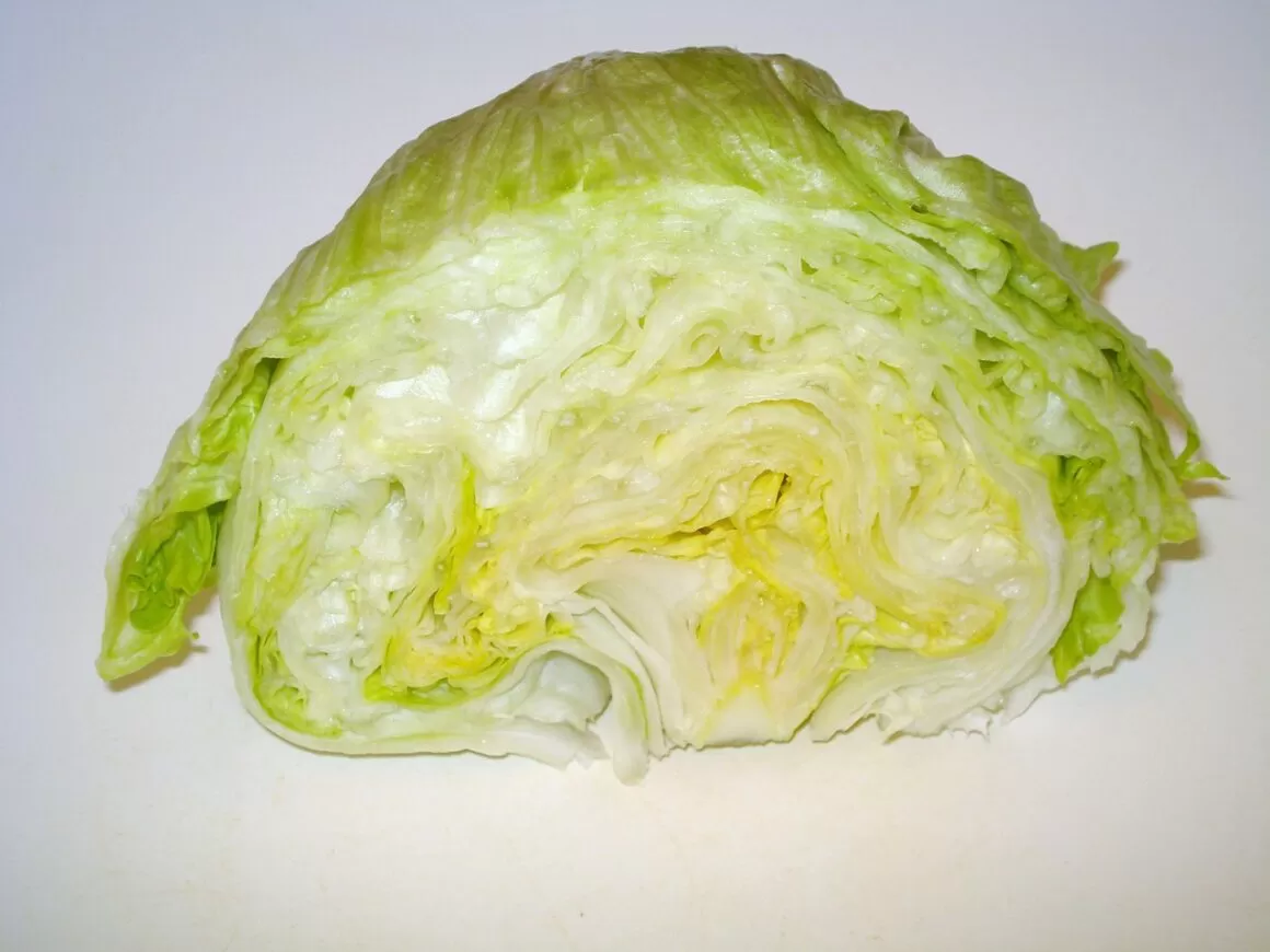 The Best Lettuce for Lettuce Wraps - Head of Iceberg Lettuce