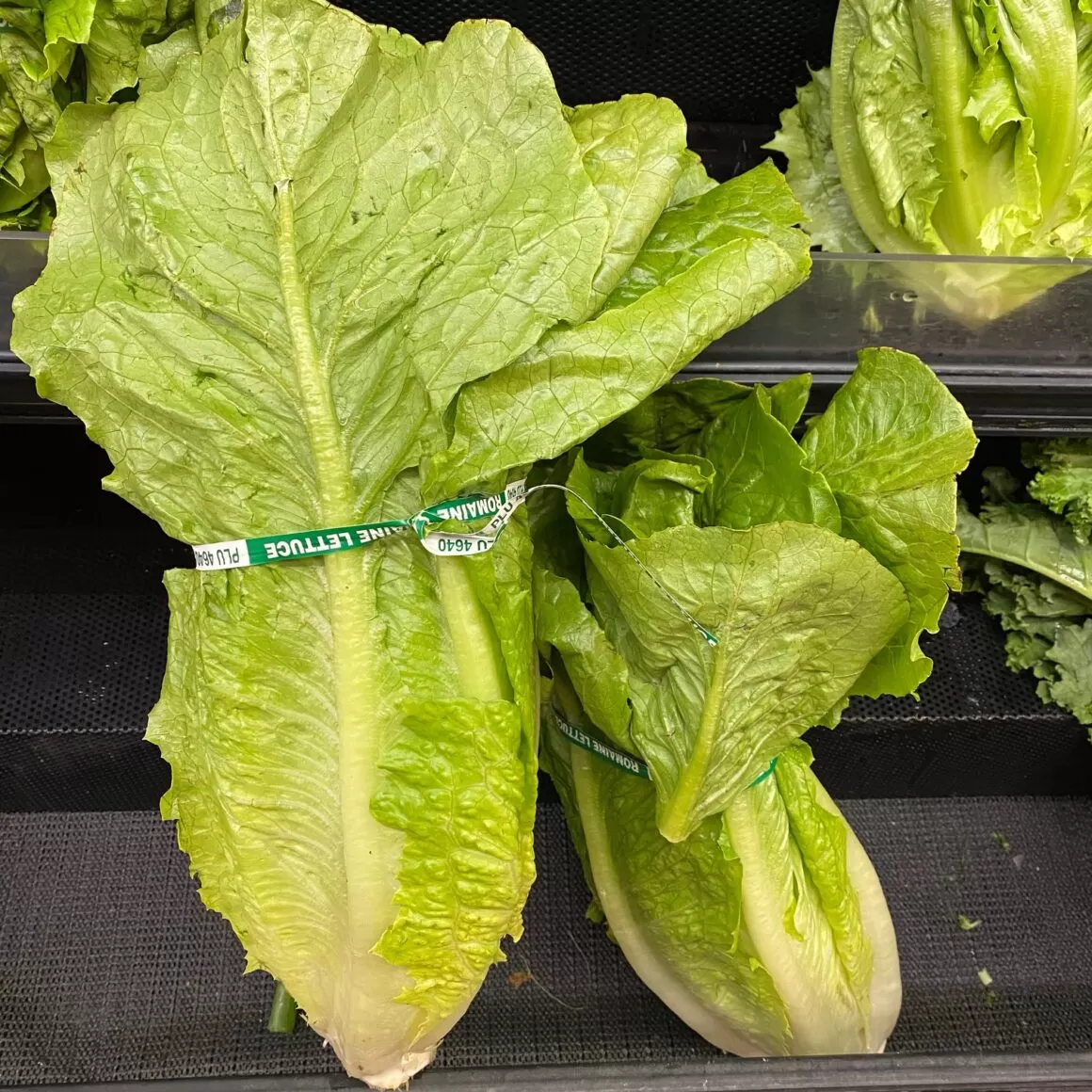 The Best Lettuce for Lettuce Wraps - Romaine Lettuce New