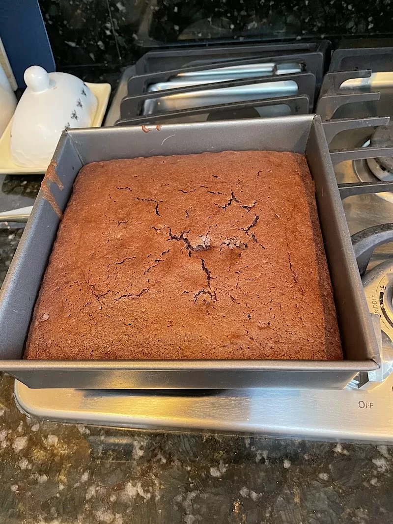 Trader Joe's Chocolate Mochi Cake Mix Cake Without Frosting